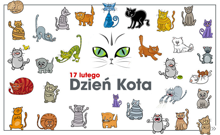 Read more about the article Dzień kota- maluchy
